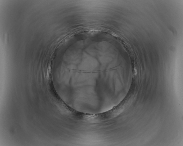 X0000112880139200909111451