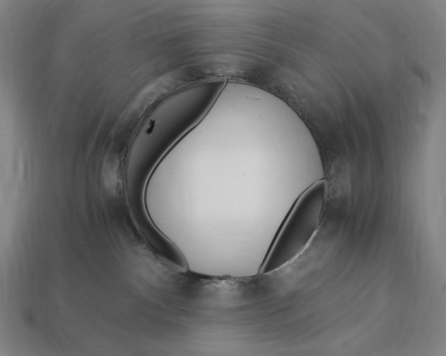 X0000112880140200909111451