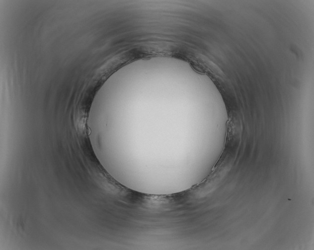 X0000112880141200909111451