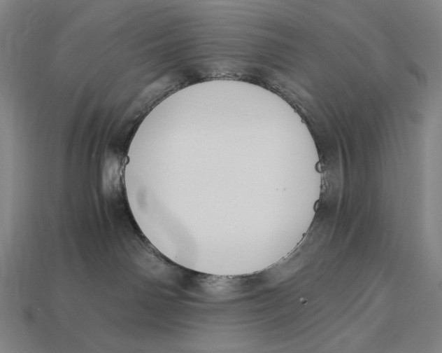 X0000112880142200909111451