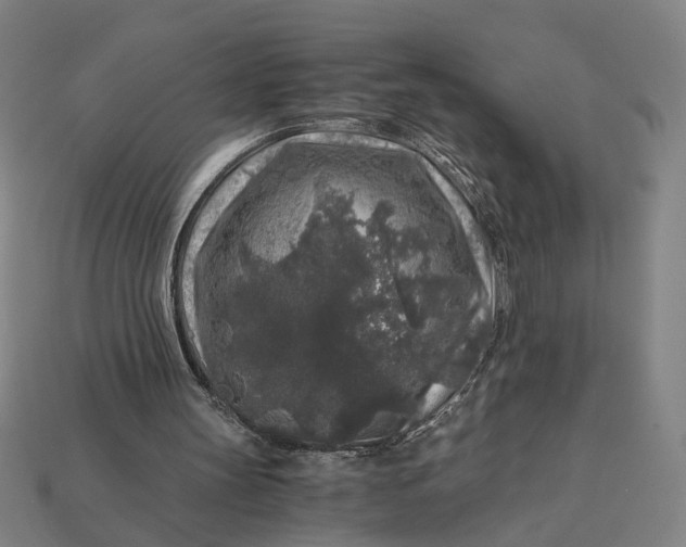 X0000112880147200909111451