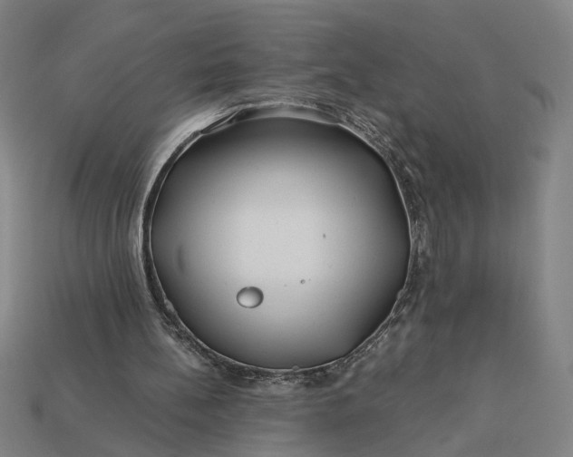 X0000112880148200909111451