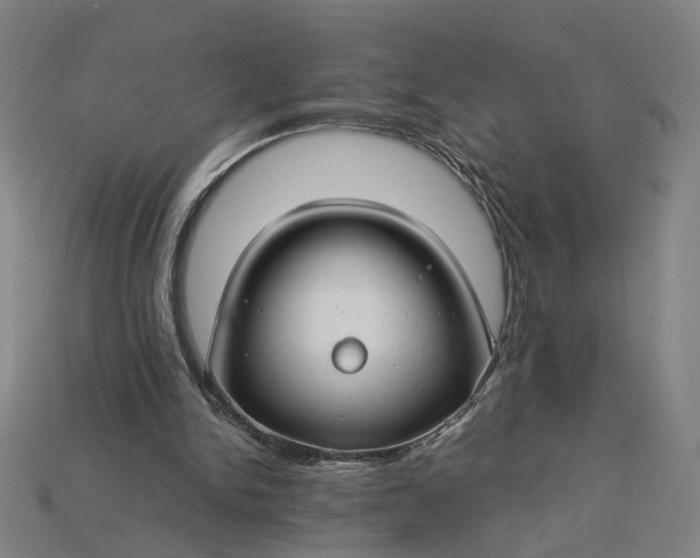 X0000112880150200909111451