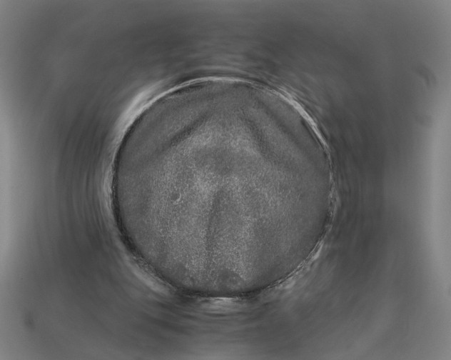 X0000112880151200909111451