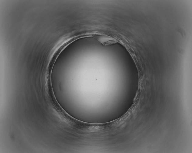 X0000112880152200909111451