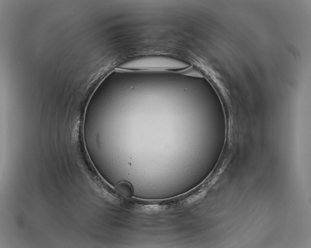 X0000112880153200909111451