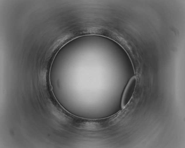 X0000112880154200909111451