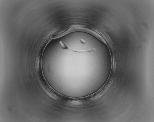 X0000112880157200909111451