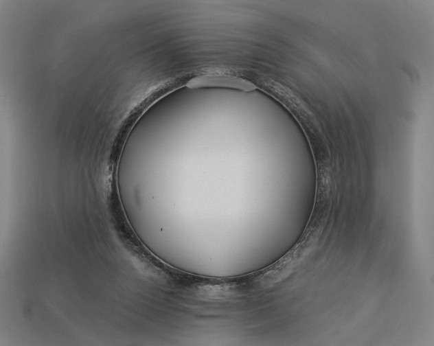 X0000112880160200909111451