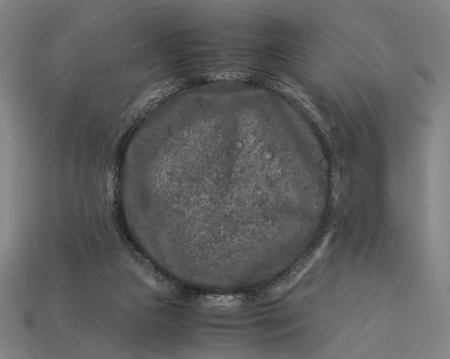 X0000112880161200909111451