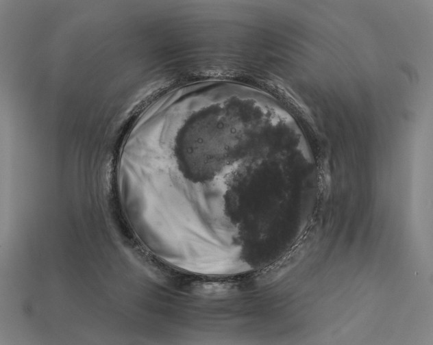 X0000112880163200909111451