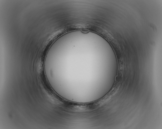 X0000112880164200909111451