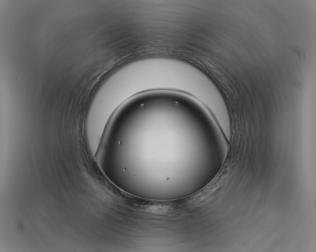 X0000112880168200909111451