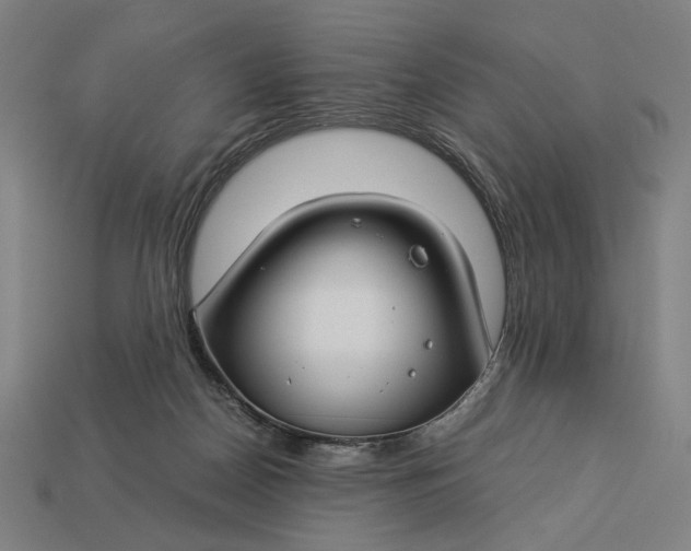 X0000112880170200909111451