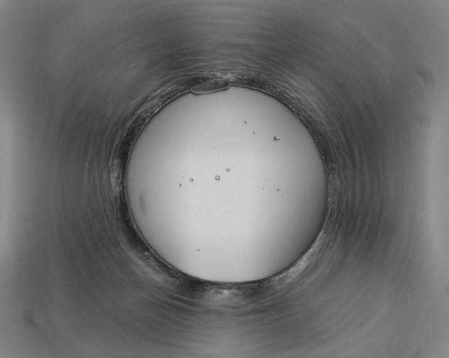 X0000112880174200909111451