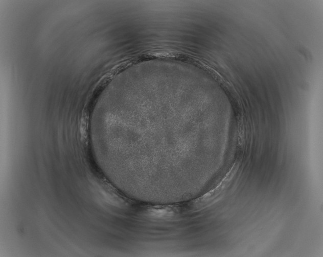 X0000112880175200909111451