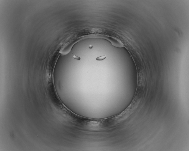 X0000112880176200909111451