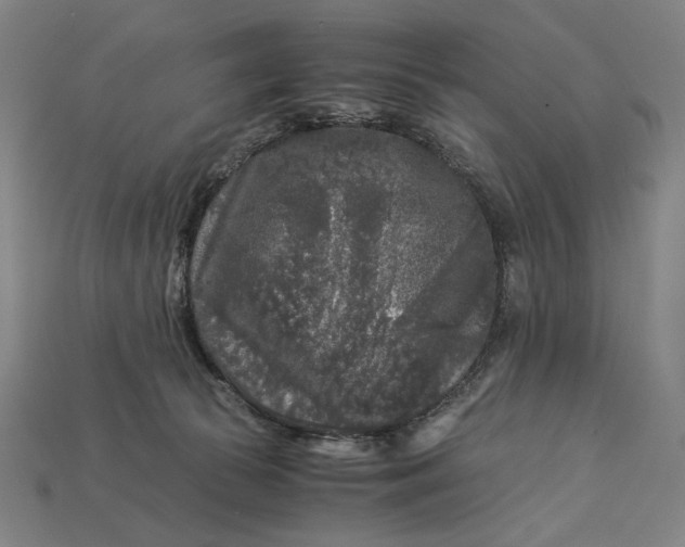 X0000112880177200909111451