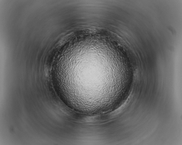 X0000112880178200909111451