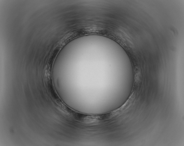 X0000112880179200909111451