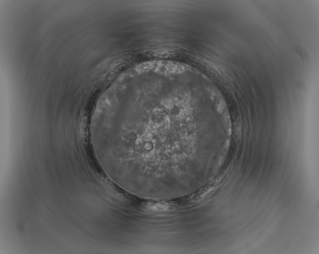 X0000112880181200909111451