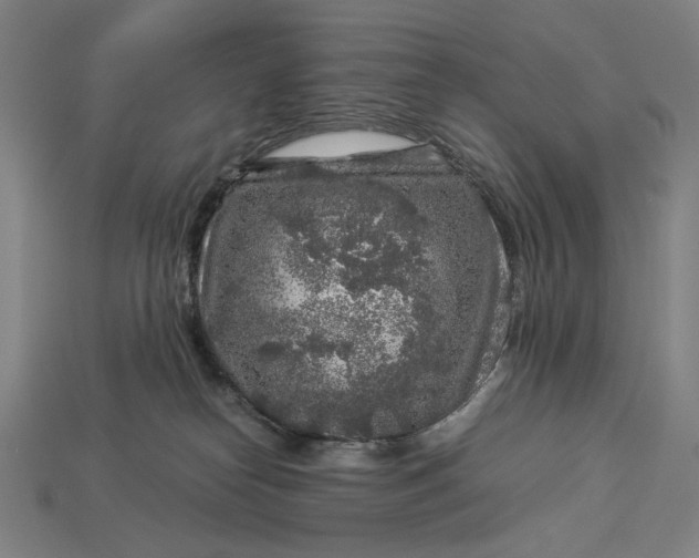 X0000112880182200909111451