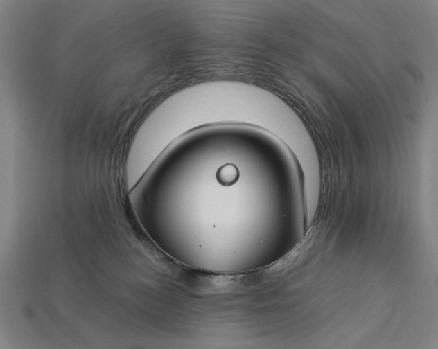 X0000112880184200909111451