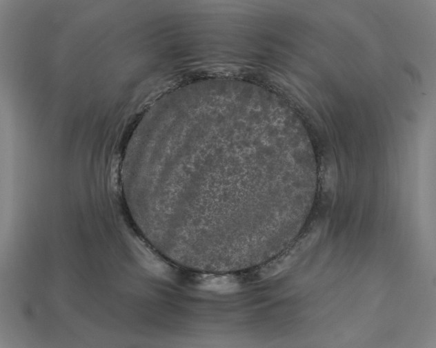 X0000112880185200909111451