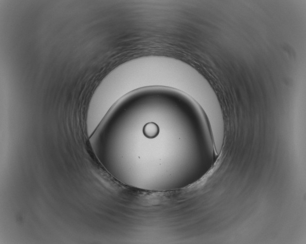 X0000112880186200909111451