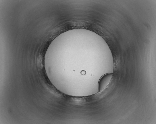 X0000112880187200909111451