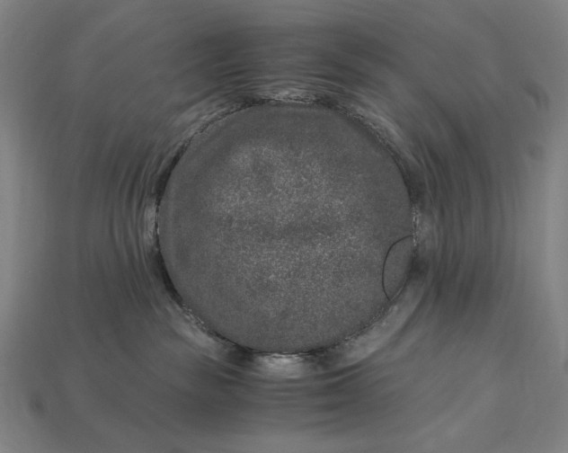 X0000112880189200909111451