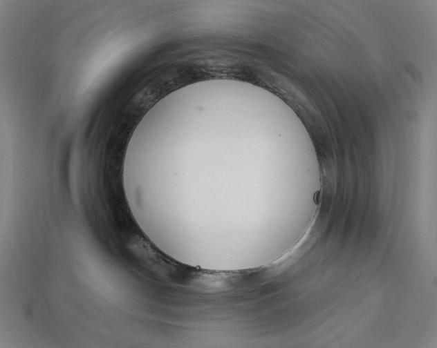 X0000112880190200909111451