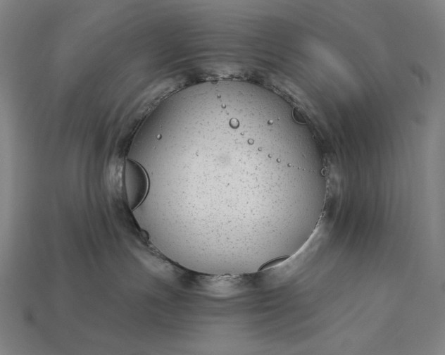 X0000112880191200909111451