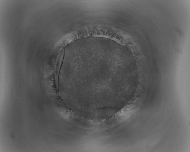 X0000112880192200909111451