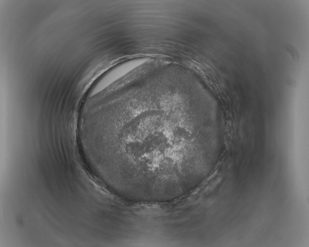 X0000112880194200909111450