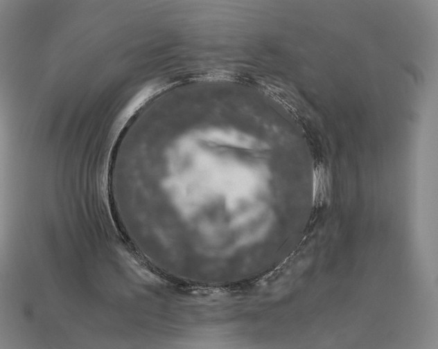 X0000112880195200909111450