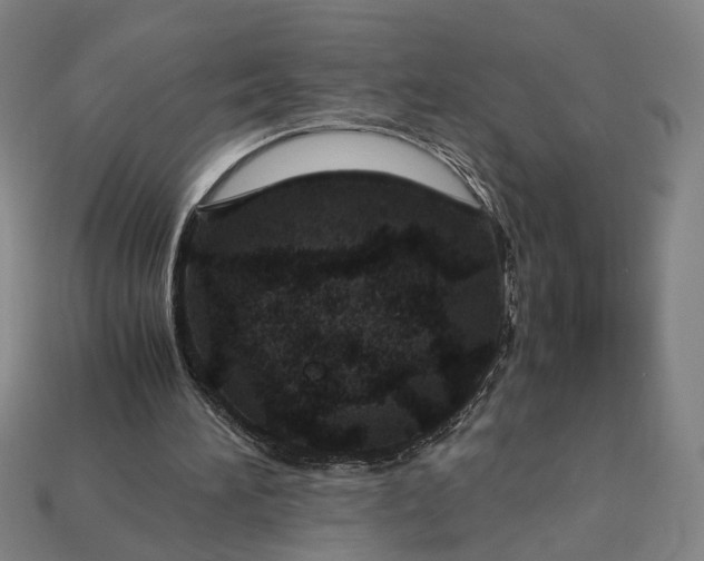 X0000112880196200909111450