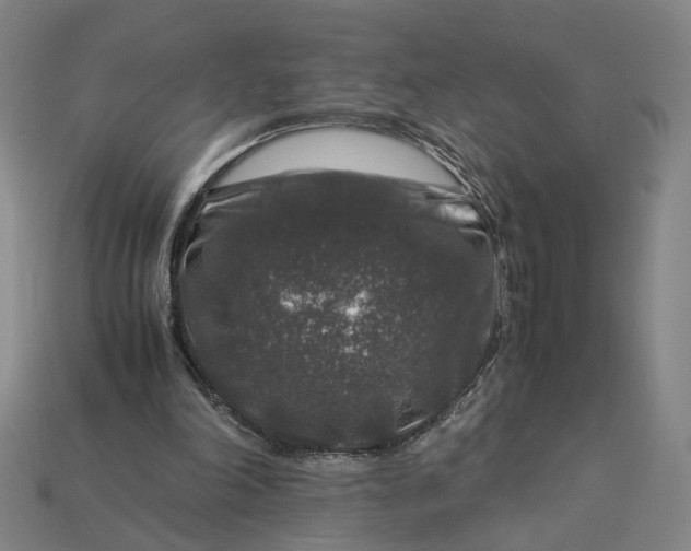 X0000112880198200909111450