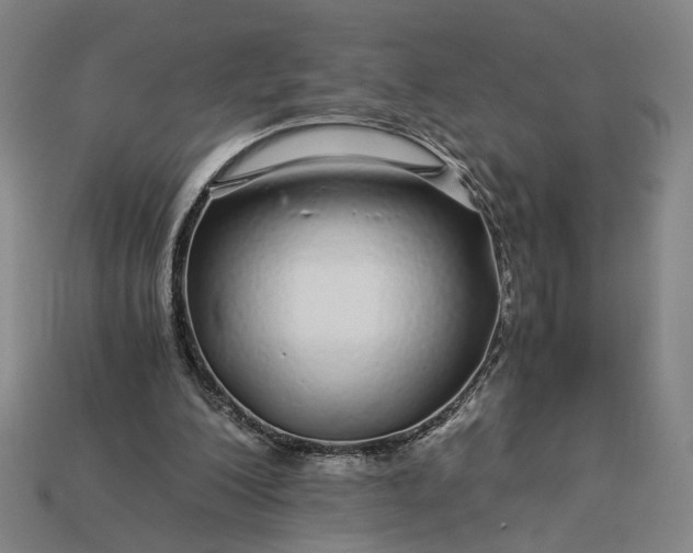 X0000112880200200909111450