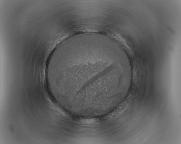 X0000112880202200909111450