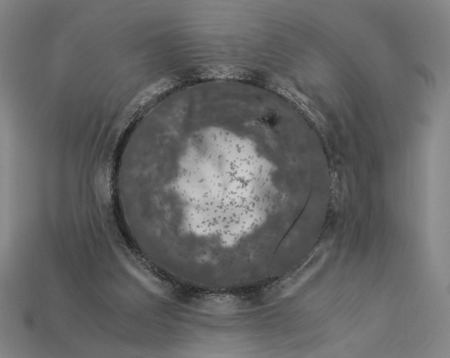 X0000112880203200909111450