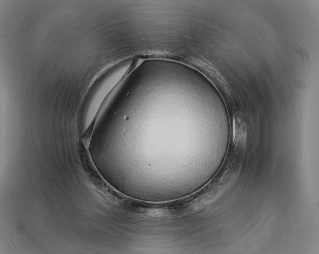 X0000112880204200909111450