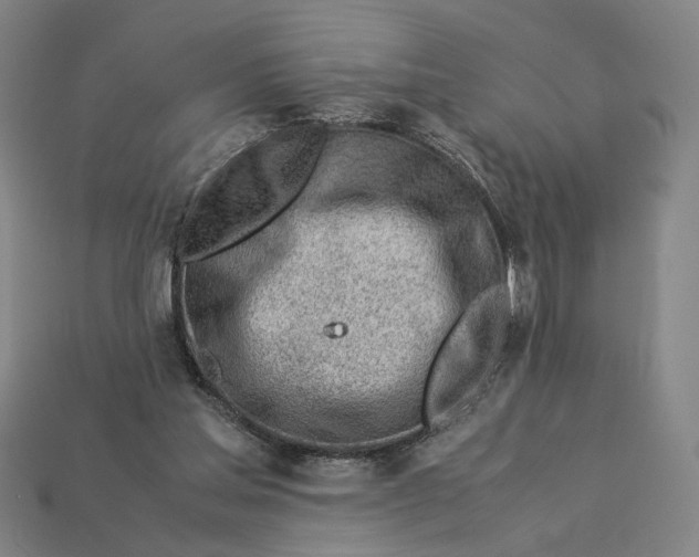 X0000112880205200909111450