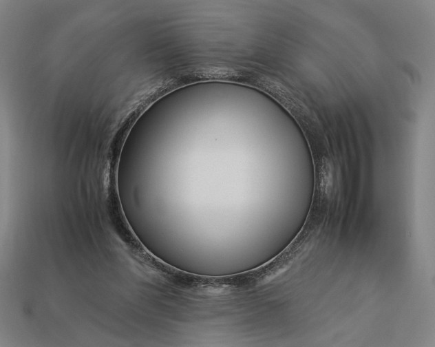 X0000112880206200909111450