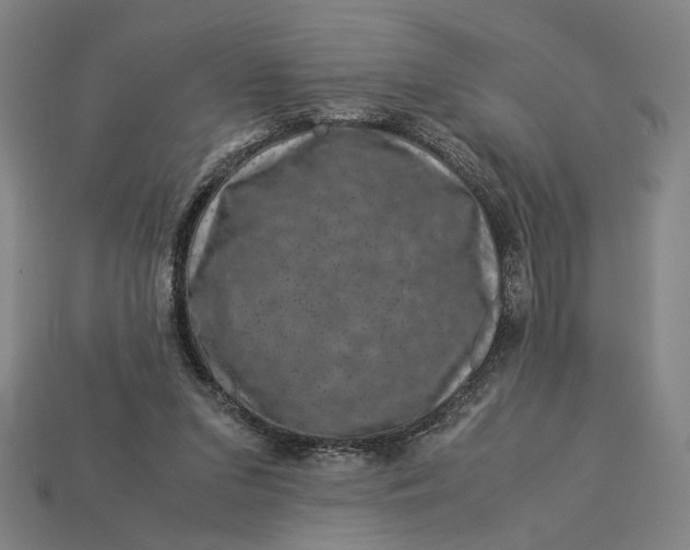 X0000112880207200909111450