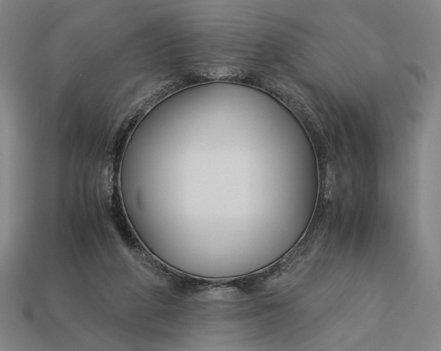 X0000112880210200909111450