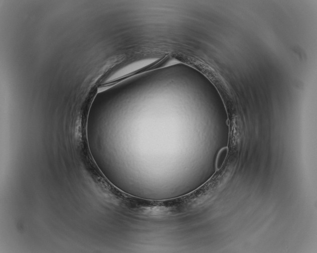 X0000112880212200909111450