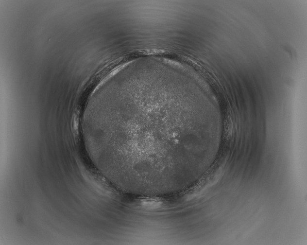 X0000112880214200909111450