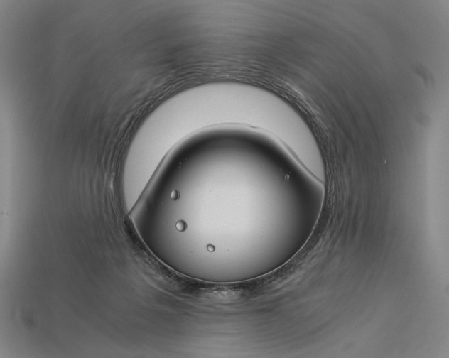 X0000112880217200909111450