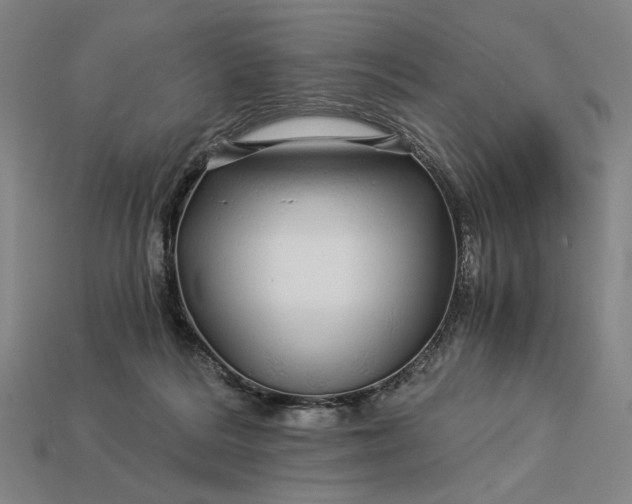 X0000112880220200909111450